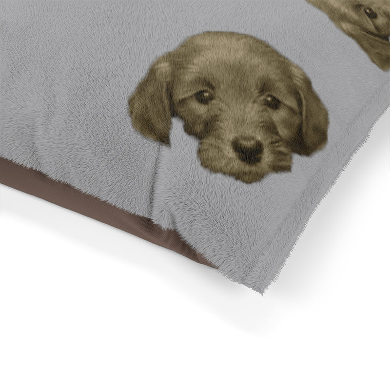 Lulú - Cama para Mascota