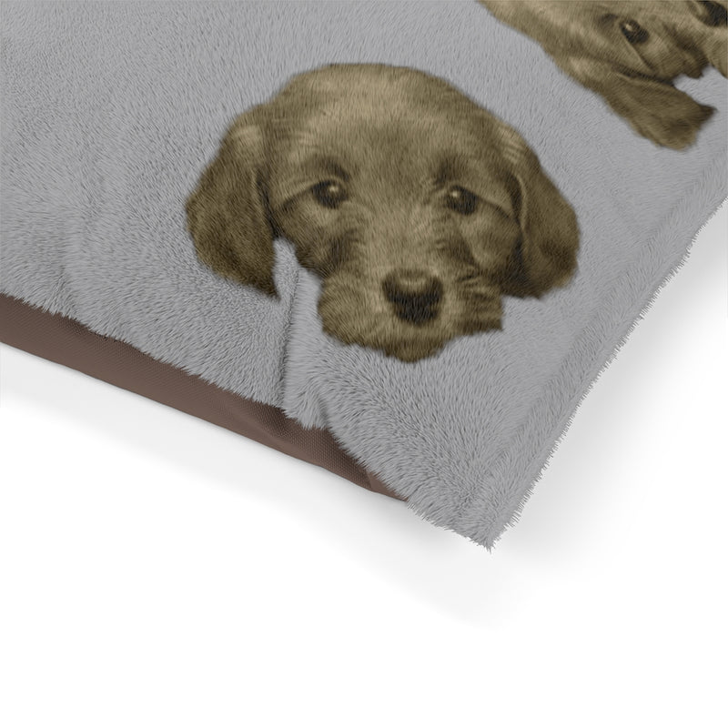 Lulú - Cama para Mascota